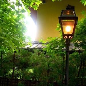 Meet your Posher, Lola